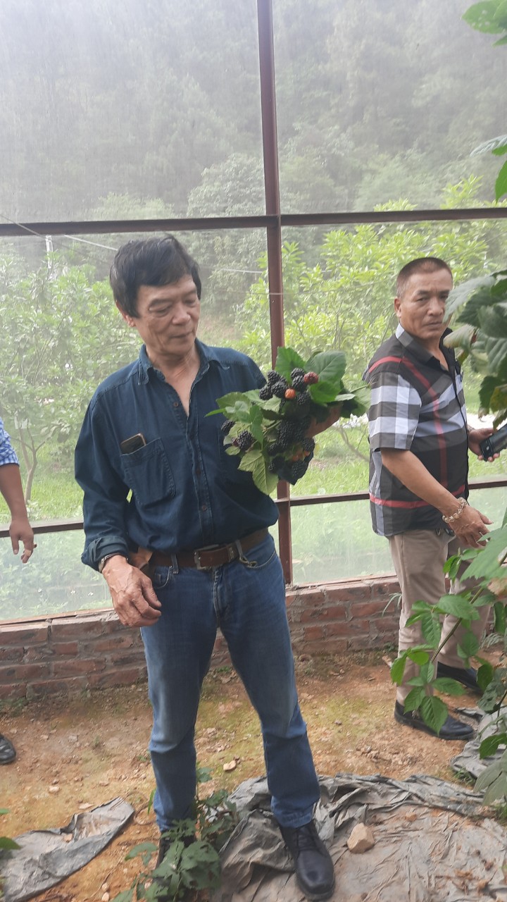 Product Info Image 4